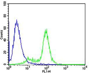 GATA3 Antibody (clone 1259CT707.136.102)