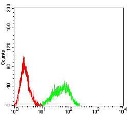 CXCR2 Antibody (clone 5F7A11)