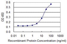 Monoclonal Mouse anti-Human CTSE / Cathepsin E Antibody (clone 2D5, WB)