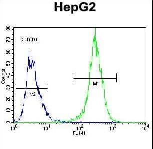MRFAP1L1 Antibody (aa28-56)