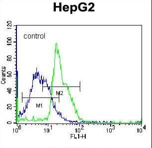 RPL15 / Ribosomal Protein L15 Antibody (aa21-50)