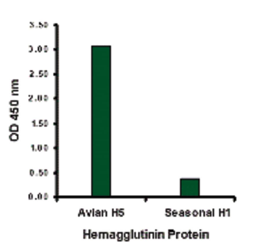 Polyclonal Rabbit anti-Virus Influenza A Virus Hemagglutinin Antibody