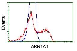 AKR1A1 Antibody (clone OTI6E3)