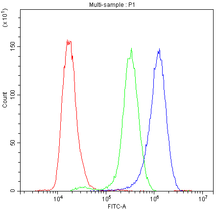 SYT1 / Synaptotagmin Antibody