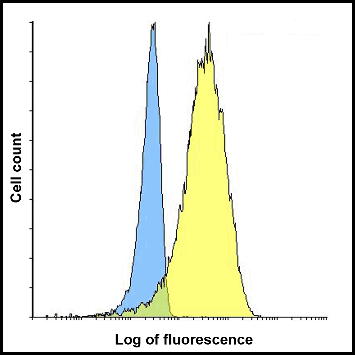TNFSF14 / LIGHT Antibody (clone 7B9E12)