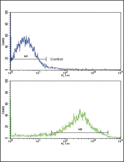 Polyclonal Rabbit anti-Human OPRS1 / SIGMAR1 Antibody (aa47-81, WB)