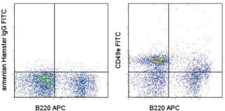 Monoclonal Hamster anti-Mouse ITGA5/Integrin Alpha 5/CD49e Antibody (clone HMa5-1, FITC)