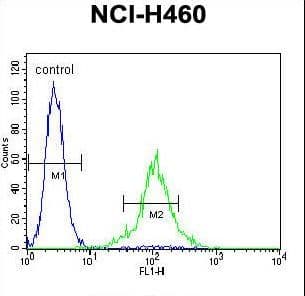 TMEM100 Antibody (aa93-122)