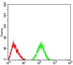 Monoclonal Mouse anti-Human CHRNA6 Antibody (clone 5B6G8, IHC, WB)