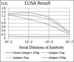 IHC-plus™ Monoclonal Mouse anti-Human THY1 / CD90 Antibody (clone 7E1B11, aa17-132, IHC, IF, WB)