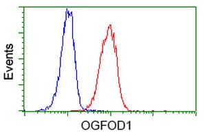 Monoclonal Mouse anti-Human OGFOD1 Antibody (clone OTI1G6, WB)