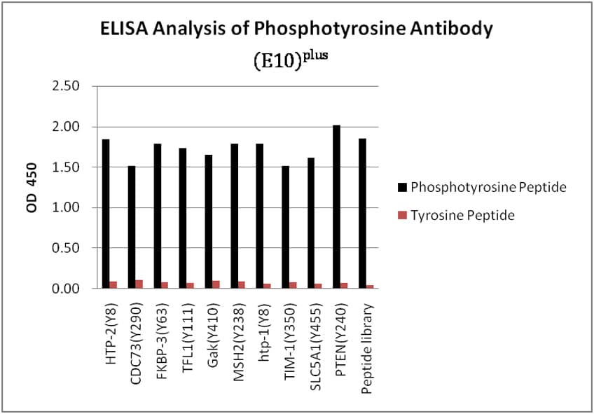 Phosphotyrosine Antibody