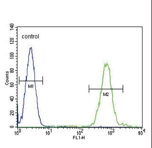 SLC8A1 / NCX1 Antibody (aa296-325)