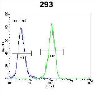 CDKN1A / WAF1 / p21 Antibody (aa134-164)