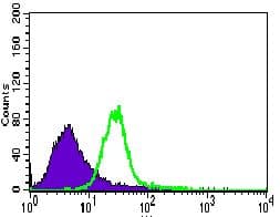 Monoclonal Mouse anti-Human TRAFD1 / FLN29 Antibody (clone 8E6E7, Amino Acid: 401-582, IF, WB)