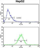 SPCS3 Antibody (aa152-180)
