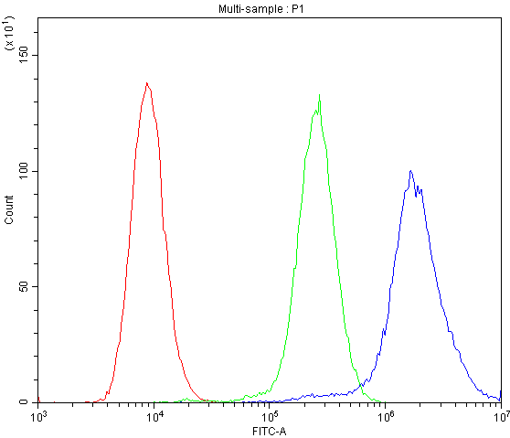 ABCB4 / MDR3 Antibody (aa601-720)