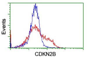 CDKN2B / p15 INK4b Antibody (clone OTI3B6)