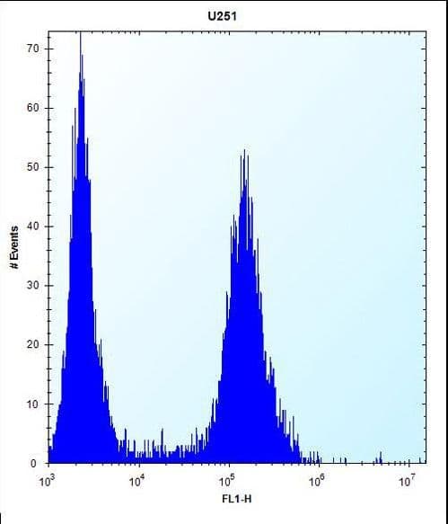 ID / ID1 Antibody (aa66-93)