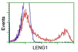 LENG1 Antibody (clone OTI7E10)