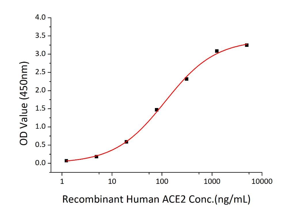Coronavirus SARS-CoV-2 Spike Glycoprotein (Recombinant 6His, C-terminus)