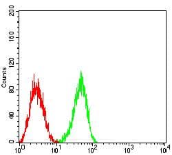 PTPRJ / CD148 Antibody (clone 1D2C11)