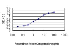 HOXC10 Antibody (clone 3F2)