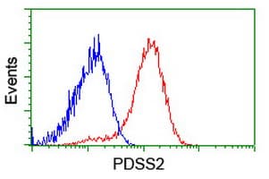 PDSS2 / DLP1 Antibody (clone OTI1D10)
