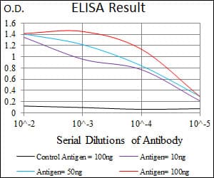 Monoclonal Mouse anti-Human C-TAK1 / MARK3 Antibody (clone 2G12, IHC, WB)