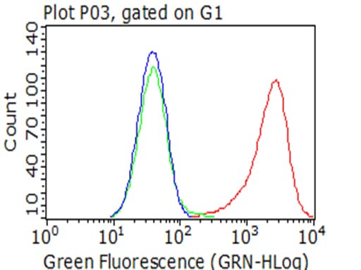 SIRPA / CD172a Antibody (clone OTI2G6)