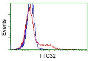TTC32 Antibody (clone OTI5B4)