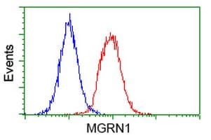 MGRN1 Antibody (clone OTI1A11)