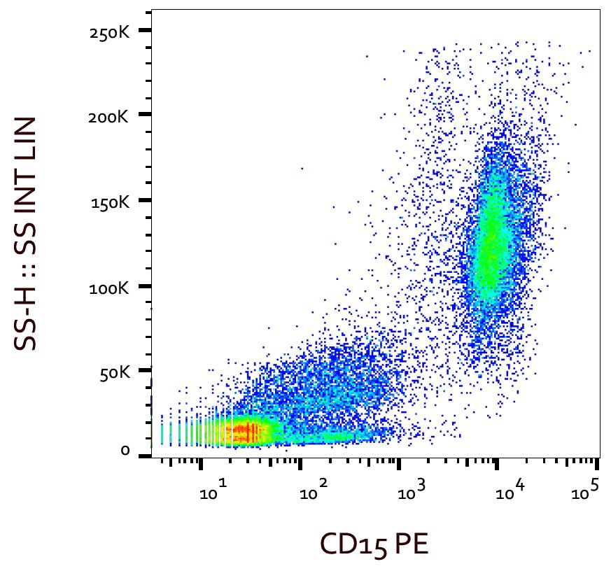 FUT4 / CD15 Antibody (clone MMA, PE)