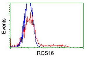 Monoclonal Mouse anti-Human RGS16 Antibody (clone OTI1H7, WB)