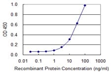 ZNF180 Antibody (clone 4F3)