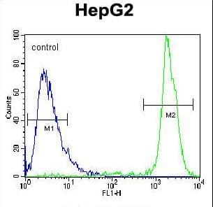 GPAM Antibody (aa426-455)