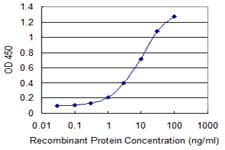 IHC-plus™ Monoclonal Mouse anti-Human IL15RA Antibody (clone 1C5, IHC, WB)