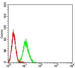 PSG1 / CD66f Antibody (clone 5C6G7)