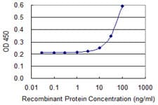 MNDA Antibody (clone 1H2)