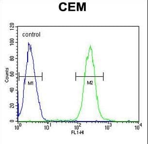 ATP6V0A4 Antibody (aa235-261)