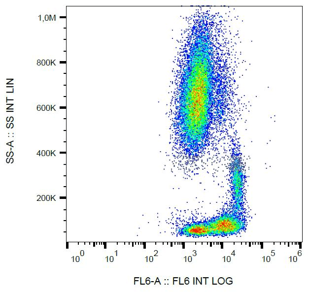 ITGB1 / Integrin Beta 1 / CD29 Antibody (clone MEM-101A, APC)