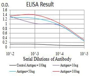 KDM4B / JMJD2B Antibody (clone 3A6H6)