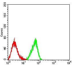 FZD4 / Frizzled 4 Antibody (clone 2F3A7)