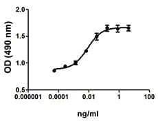 Rat IL-3/ IL-5 / GM-CSF Protein (Recombinant)