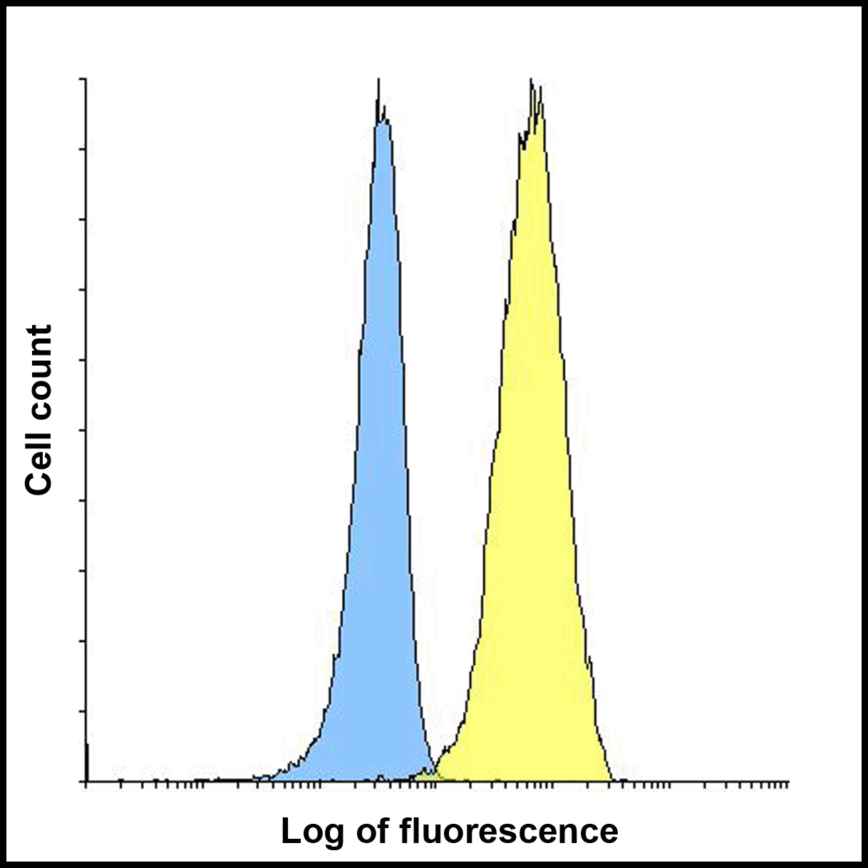 TIGIT Antibody (clone 4A10)