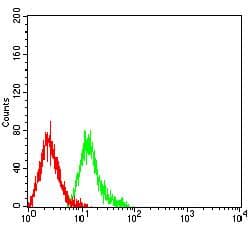 TRIM29 Antibody (clone 8C8G5)