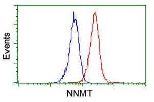 IHC-plus™ NNMT Antibody (clone 3D8)