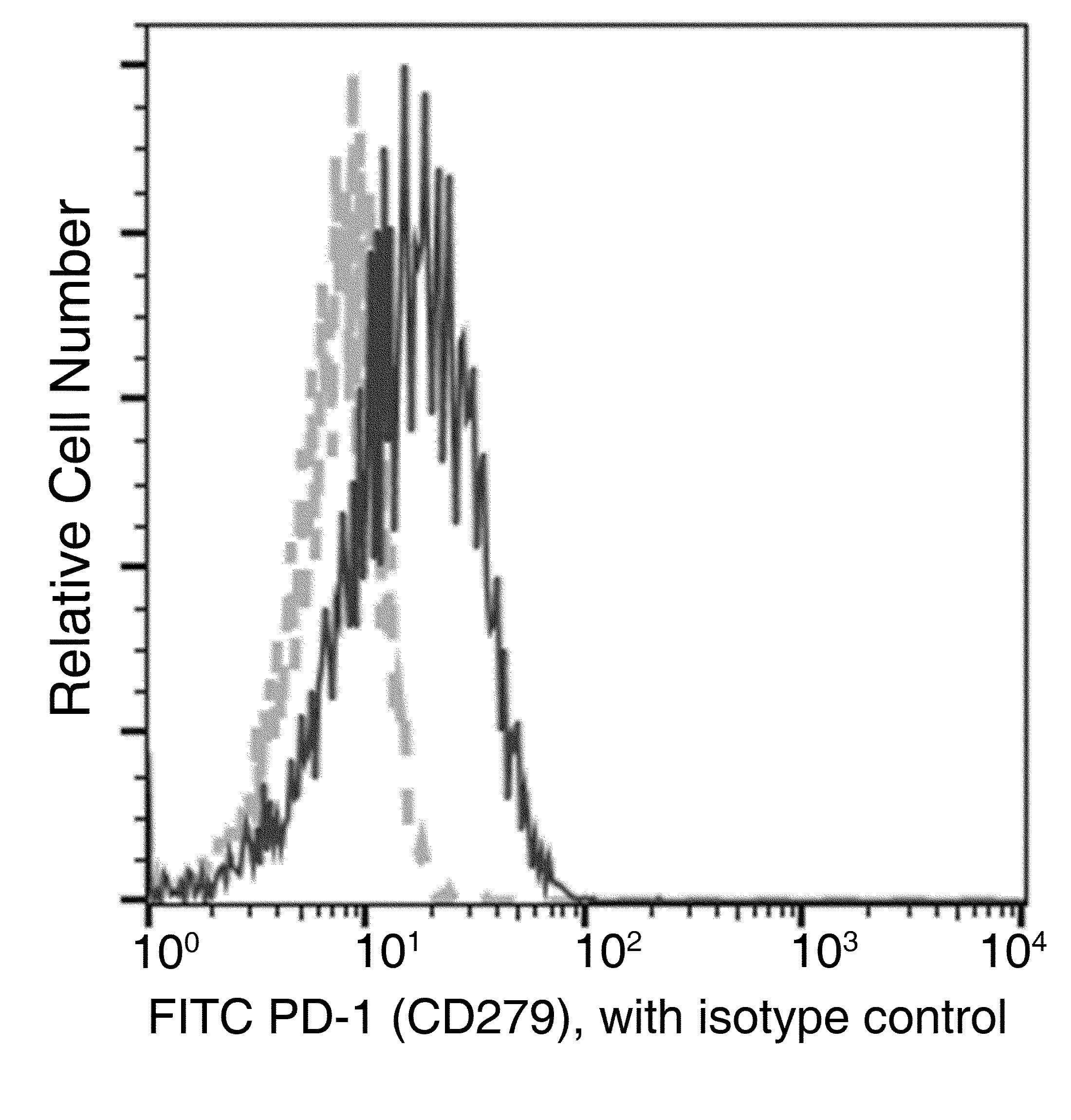 Monoclonal Mouse anti-Human PDCD1 / CD279 / PD-1 Antibody (clone 140, FITC)