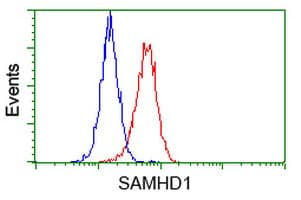 SAMHD1 Antibody (clone OTI1F6)