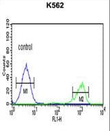 Polyclonal Rabbit anti-Human ADH7 Antibody (aa318-346, IHC, IF, WB)